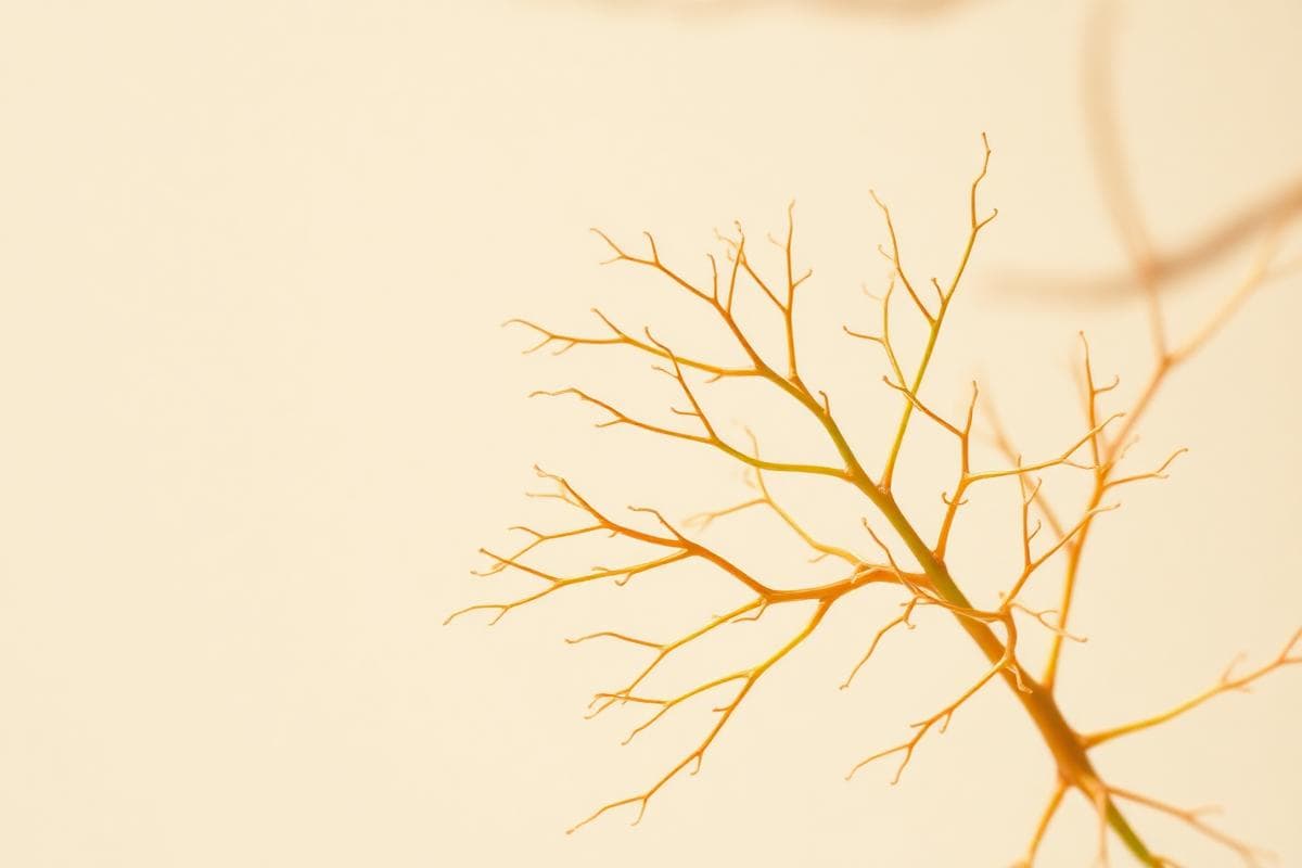 Macro photograph of branching organic structures resembling a nervous system on a warm neutral background