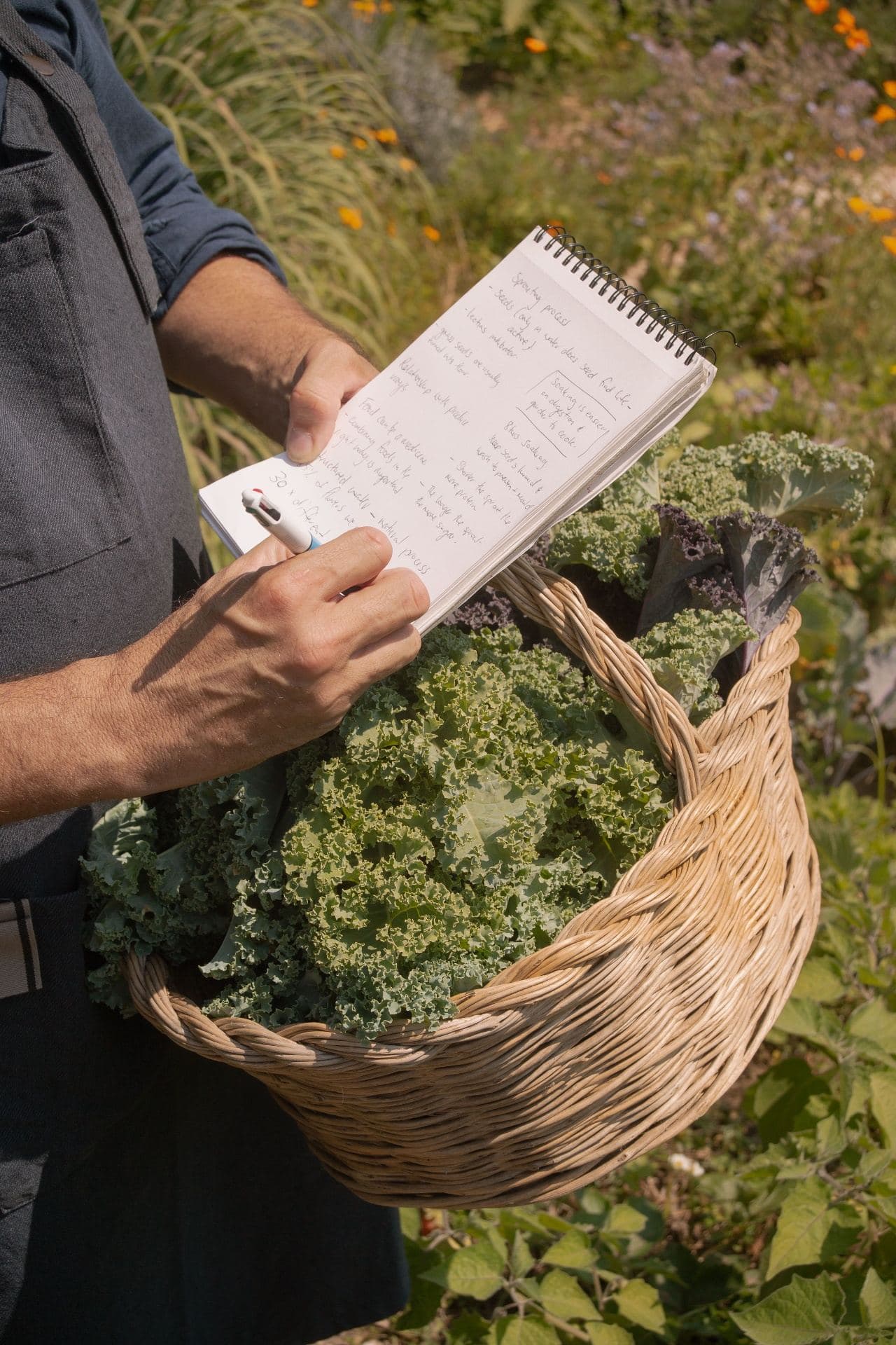Handwritten notes from a garden session